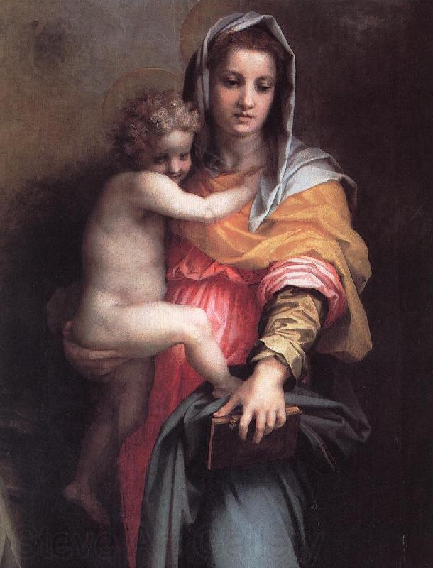 Andrea del Sarto Madonna of the Harpies (detail)  fgfg Spain oil painting art